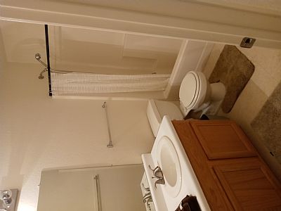 sauropoda profile photo