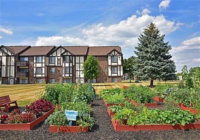 Damarrea221 profile photo