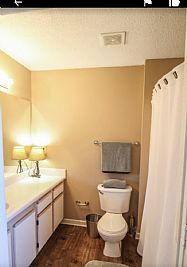 Rainyrae profile photo