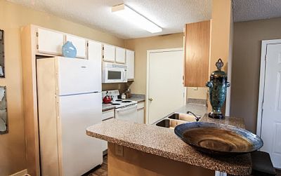 Rainyrae profile photo