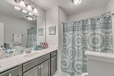 alehalli profile photo