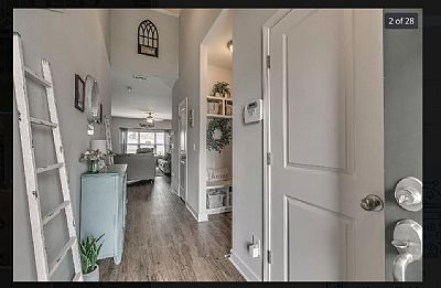 alehalli profile photo