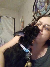 Sapphire star profile photo