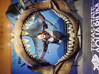 trseifried profile photo