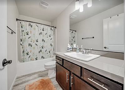 sunnyteacher profile photo