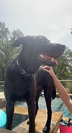 baileyh profile photo