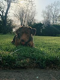 MattVonderheide profile photo