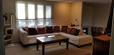 KinkySafeOldGuy profile photo