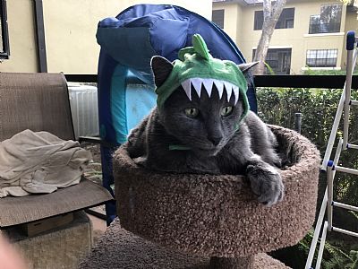 DustinKnight profile photo