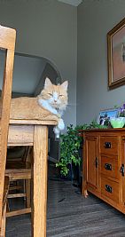 Rosiempdf profile photo