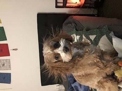 Vtryan profile photo