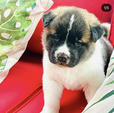 Nutpc07 profile photo