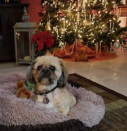 JohnJim profile photo