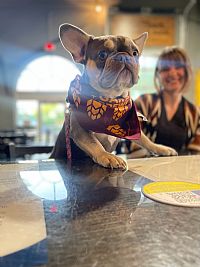 Jamifox profile photo