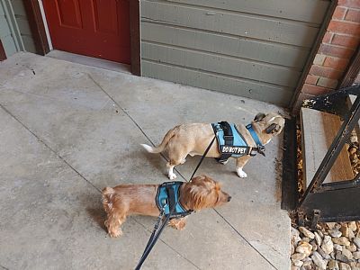 Rik Mtz profile photo