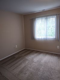 mintwan profile photo