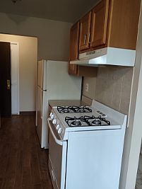 mintwan profile photo