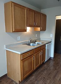 mintwan profile photo