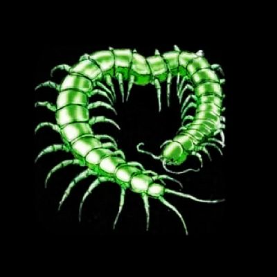 BraydenM profile photo