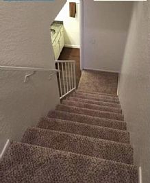 Cgharris profile photo