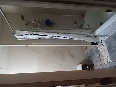 E.J.W. profile photo