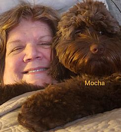 My02pups profile photo