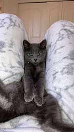 Happinin profile photo