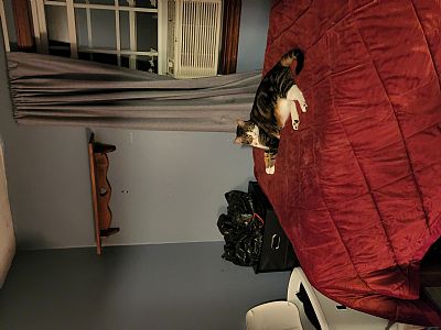 Kris2468 profile photo