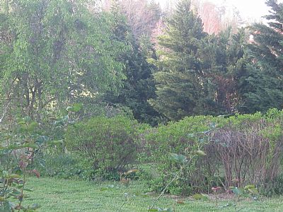 Pidege profile photo