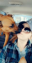 damnitcolleen profile photo