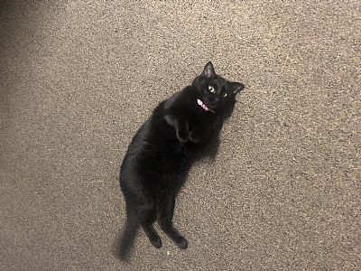 acarte34 profile photo