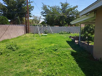 Natasha88rose profile photo