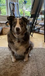 abbyg2002 profile photo