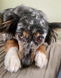 abbyg2002 profile photo