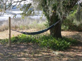 tonireale profile photo