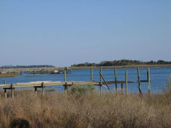 tonireale profile photo