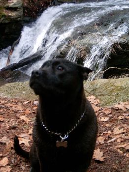 tonireale profile photo