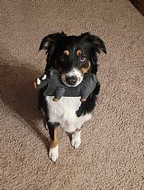 Cody.whittern profile photo