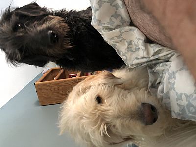 aaronunderhill profile photo