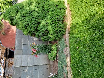 Falslev7 profile photo