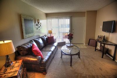 gikmetmura profile photo