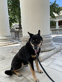 cabella94 profile photo