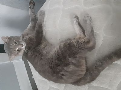 Lum3n8 profile photo