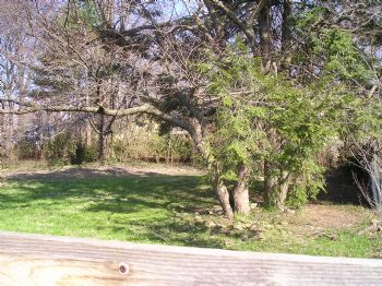 bkenner profile photo