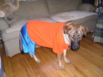 bkenner profile photo