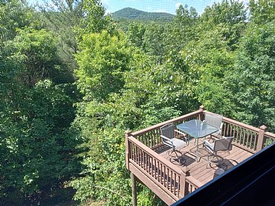 Americanlady profile photo