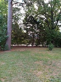 GoldQueen31 profile photo