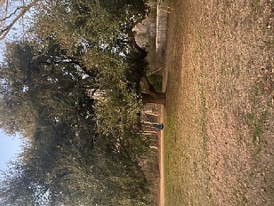 Jake@666 profile photo