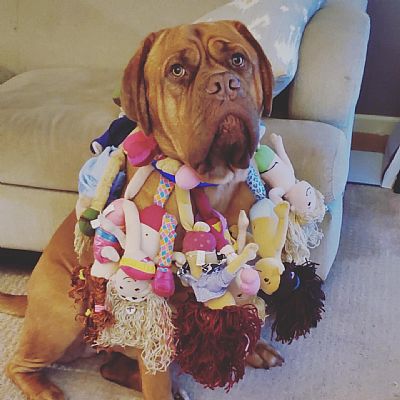 groenkea profile photo