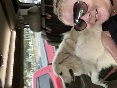 BloodOrange profile photo